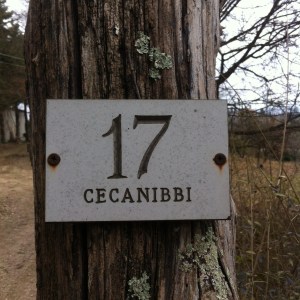 cecanibbi17